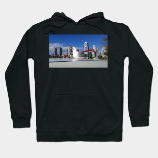 Resting seagull Hoodie